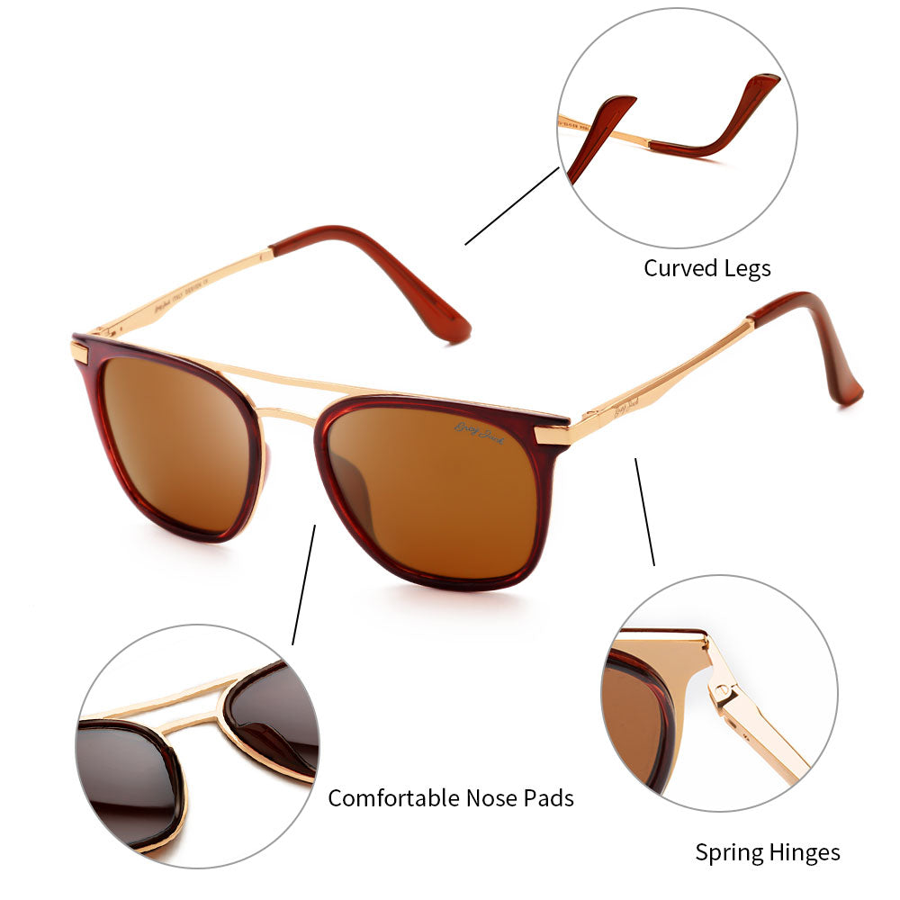 Gold Frame Brown Lens
