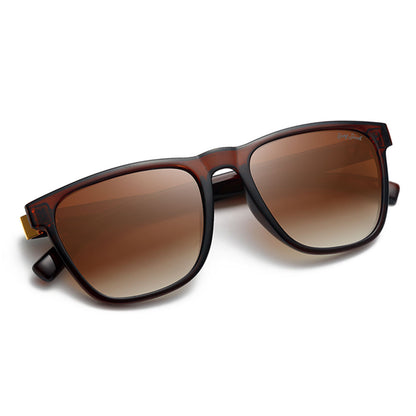 Shine Brown Frame Double Brown Lens